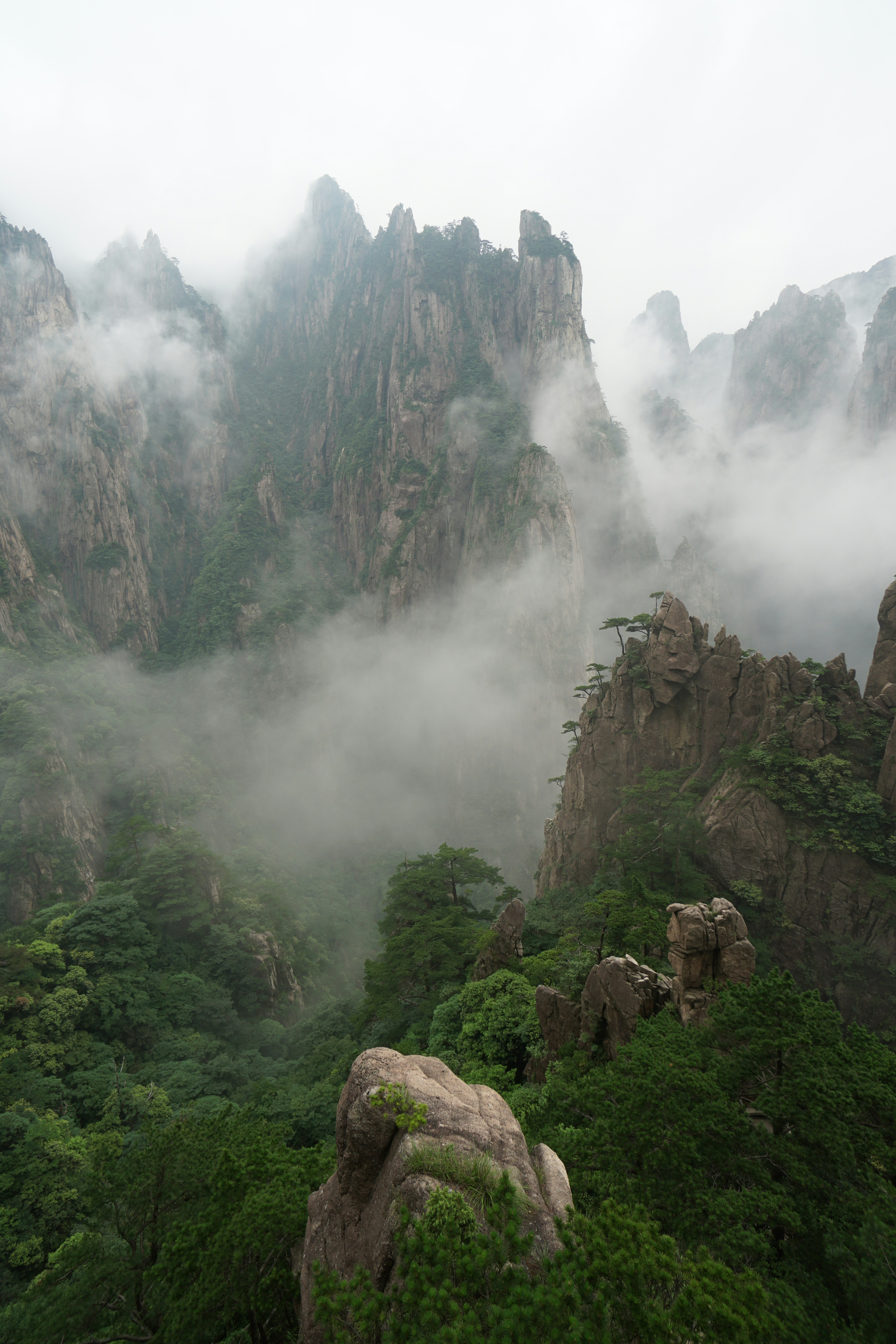 Mount Mogan & Bamboo Trail